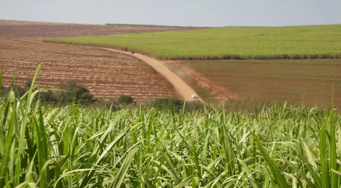 Acreditem, o Rio ainda tem cana, canavieiros que viraram usineiros, e nova usina chegando